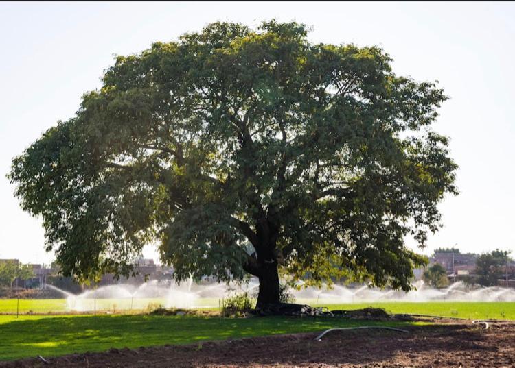 ג'ודפור Ananya Farms Paradise מראה חיצוני תמונה