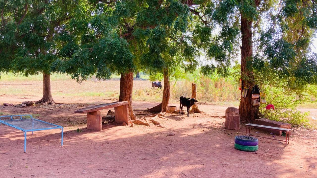 ג'ודפור Ananya Farms Paradise מראה חיצוני תמונה